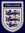 FIFA Fanatics Avatar