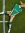 Werderaner90s Avatar