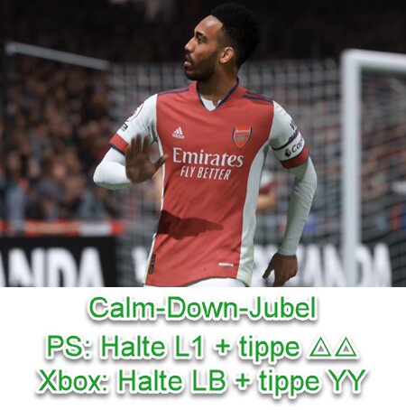 FIFA 23 Calm-Down-Jubel