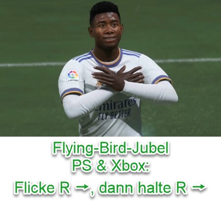 EA SPORTS FC 24 Flying-Bird-Jubel