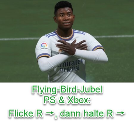EA SPORTS FC 25 Flying-Bird-Jubel