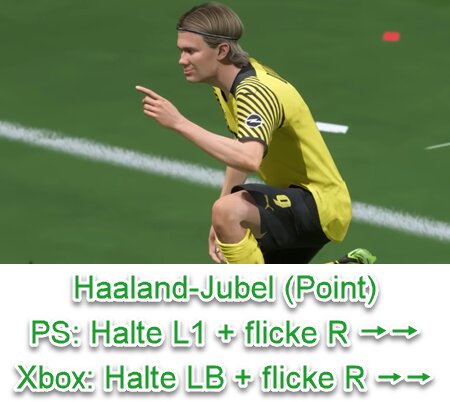 FIFA 23 Haaland-Jubel (Point-Jubel)